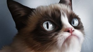 Angry Cats